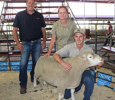 RC 17 052 - Highest price for a ram on Bloemfontein Auction 2019 - bought by Wilgerstroom Bdy - GJ du Plessis from Potchefstroom